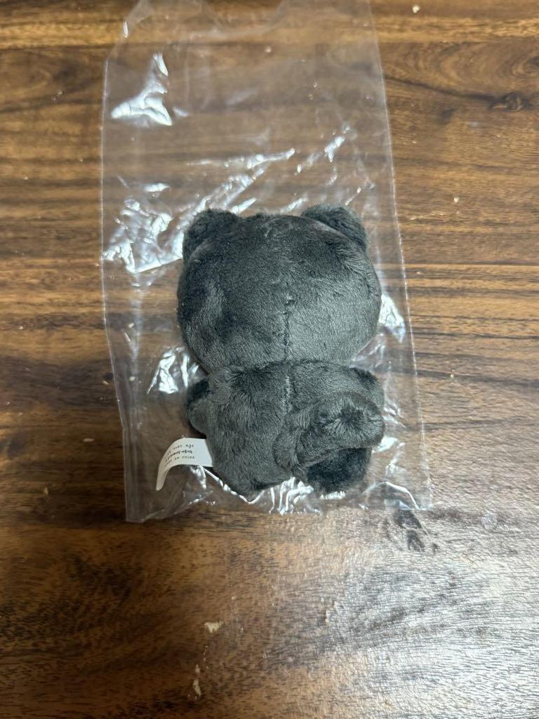 [USED] ENHYPEN Master Jay Plush Toy 10cm