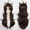 Cosplay Wig with Net, Heat-Resistant, Halloween Costume (Leona Kingscholar)