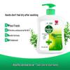 Dettol Healthy Antibakterielle Handwaschlotion