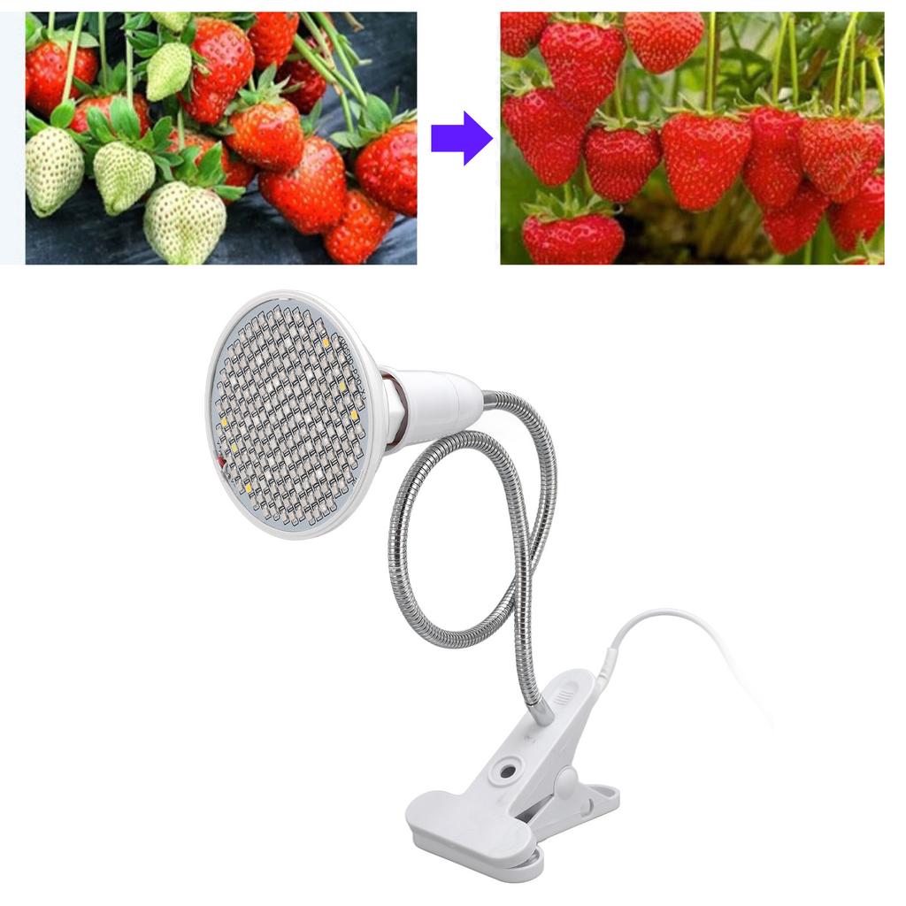 Grow Light LED Plant Light 8W Full Spectrum Desk Clip   Gooseneck E27 Socket Growing Lamp  for Indoor