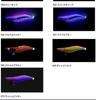 YAMASHITA Luminous Shrimp & Squid Hooks Set - Size 3.5, UV Blowpipe Lures for High Catch