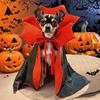 Funny Halloween Magic Cape for Cats and Dogs
