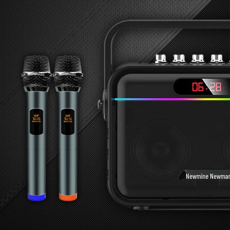 Newman K112 Portable Bluetooth Karaoke Speaker