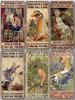 Vintage Cats Gardening Metal Tin Sign  xcm Wall Decor for Cafe Farmhouse Backgarden  Perfect for Home Decor  Gifts