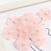 Set of 30 Sewing Flower Applique for Craft Fabric Flower Sewing Accessories for Home Decoration Clothing Wedding Dress