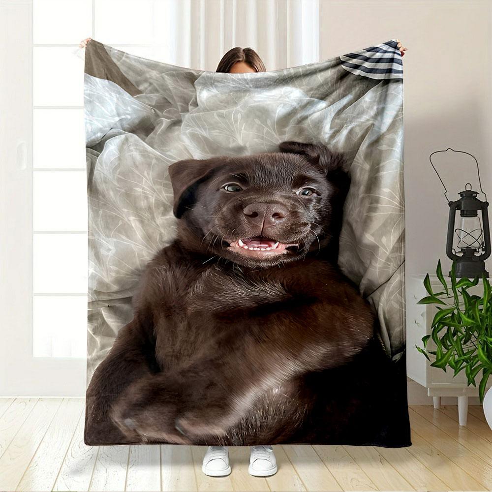 Cute Brown Puppy on Blanket for all seasons blanket lunch break throw gift