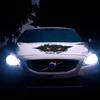 Accesorii de exterior – Autocolante pentru auto