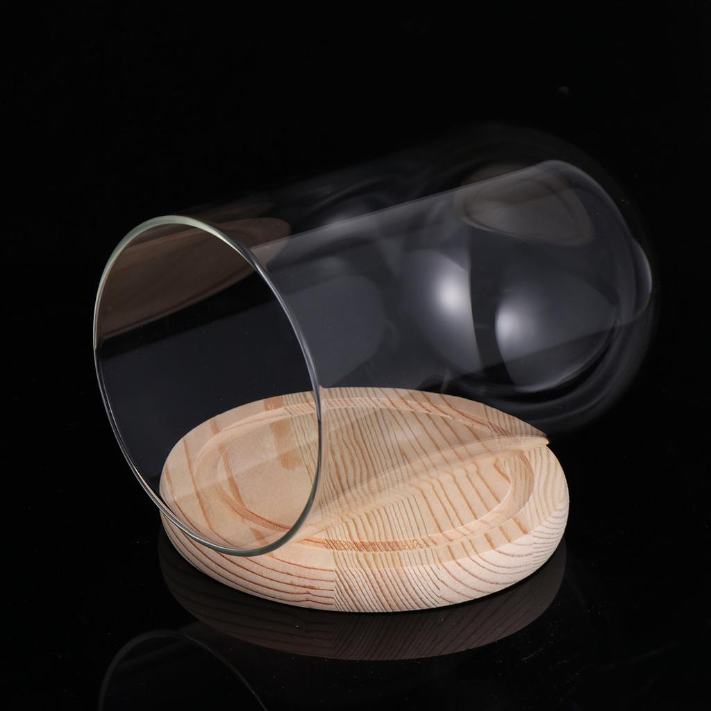 9x24cm Eternal Flower Glass Dome with Solid Wood Base Transparent Display Cover for DIY Craft Valentine Gift Compact Storage