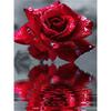 5D Diamond Painting Flower Rose Skull Art Diamond Embroidery Black and White Picture DIY Cross Stitch Set Home Decoration