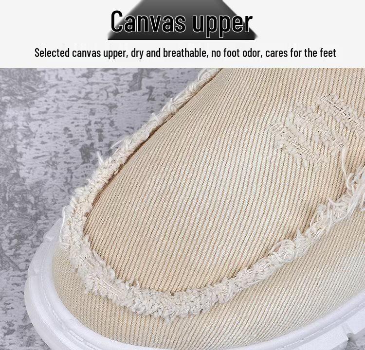 Men's 2025 Style Casual Slip-on Washed Canvas Shoes