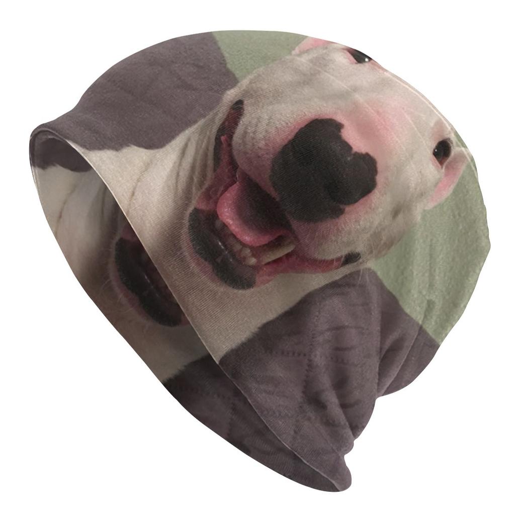 Niestandardowe śpiący Bull Terrier pies luźna czapka typu beanie kobiety unisex zwierząt szczeniak Hip Hop dzianiny Skullies czapki czapki na zimę