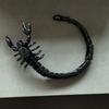 Scorpion Bracelet Animal Bracelet Domineering Men's Scorpion Bracelet Punk Jewelry