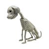 Halloweenské zvířecí kostry Pes Netopýr Žába Štír Pavouk Had Krysa Kostní kostry pro Halloweenskou párty Strašidelný dům Hřbitovní scéna Dekorace