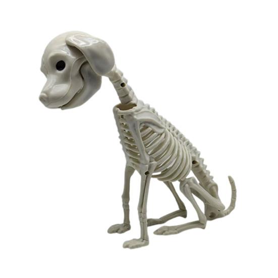Halloweenské zvířecí kostry Pes Netopýr Žába Štír Pavouk Had Krysa Kostní kostry pro Halloweenskou párty Strašidelný dům Hřbitovní scéna Dekorace