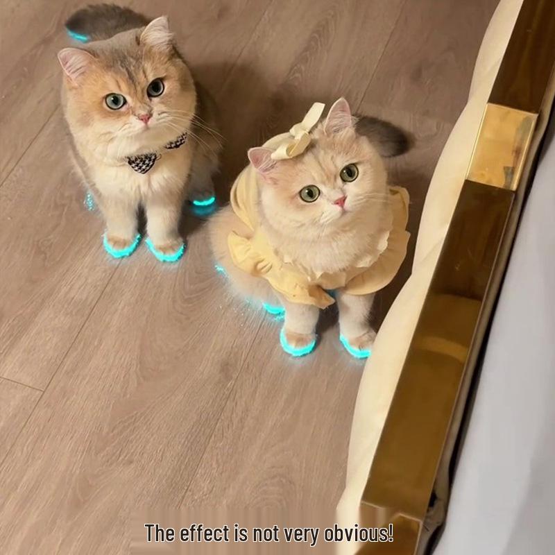 Pet Luminous Shoes, Whistle Night Light, and Photography Accessories for Cats and Dogs