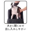 Petio Dog and Cat Holds In Front and Keeps an Eye On Your Pet Carrier, Black,