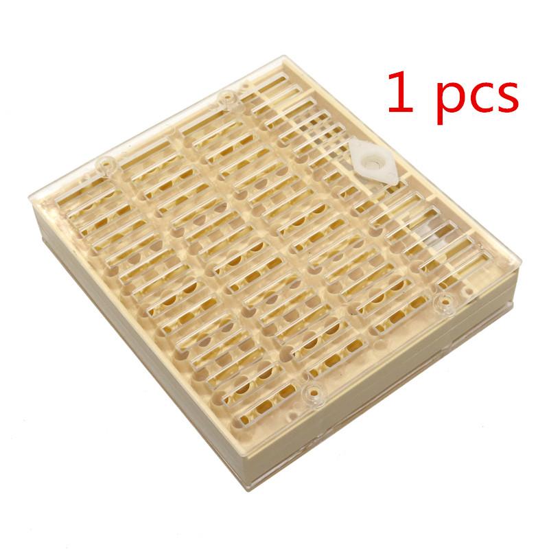 Beekeeping Equipment Tools Rearing Queen Bee Lay Eggs Plastic Box Cage For Professional Beekeeper Apiculture Supplies
