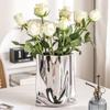 Minimalist Electroplated Ceramic Vase Light Luxury Hydroponic Flower Pot  Home Decoration