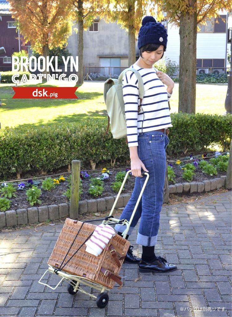 CB Japan Shopping Cart Khaki Folding Carry Cart Load Capacity 30kg DSK