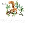 Natur-Thema Wohnkultur Aquarell Eichhörnchen Wandaufkleber, Niedlicher Ast Wandaufkleber, Weiche Illustrationsaufkleber Waldtier Wandbild Kunst für Wohnzimmer