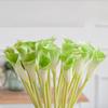 Künstliche Calla-Lilien Latex Calla-Lilie SNAIL GARDEN Lilien Natürliches Aussehen