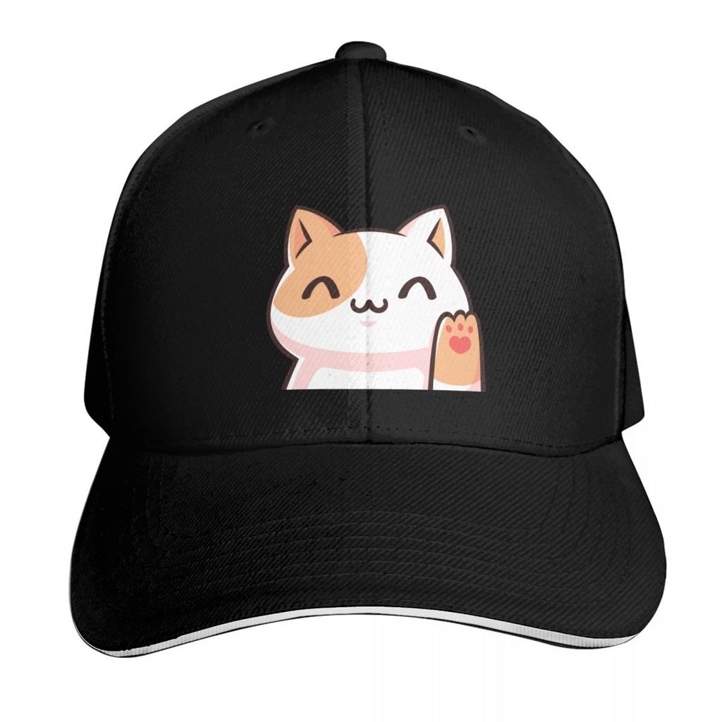 Cat Life Is Perfect Baseball Cap Snapback Flat Bill Strapback Dad Hat Six Panel Structured Crown