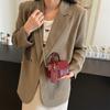 Niche design fashion trend portable small bag women's 2025 autumn contrasting color small square bag high-end single shoulder oblique span bag