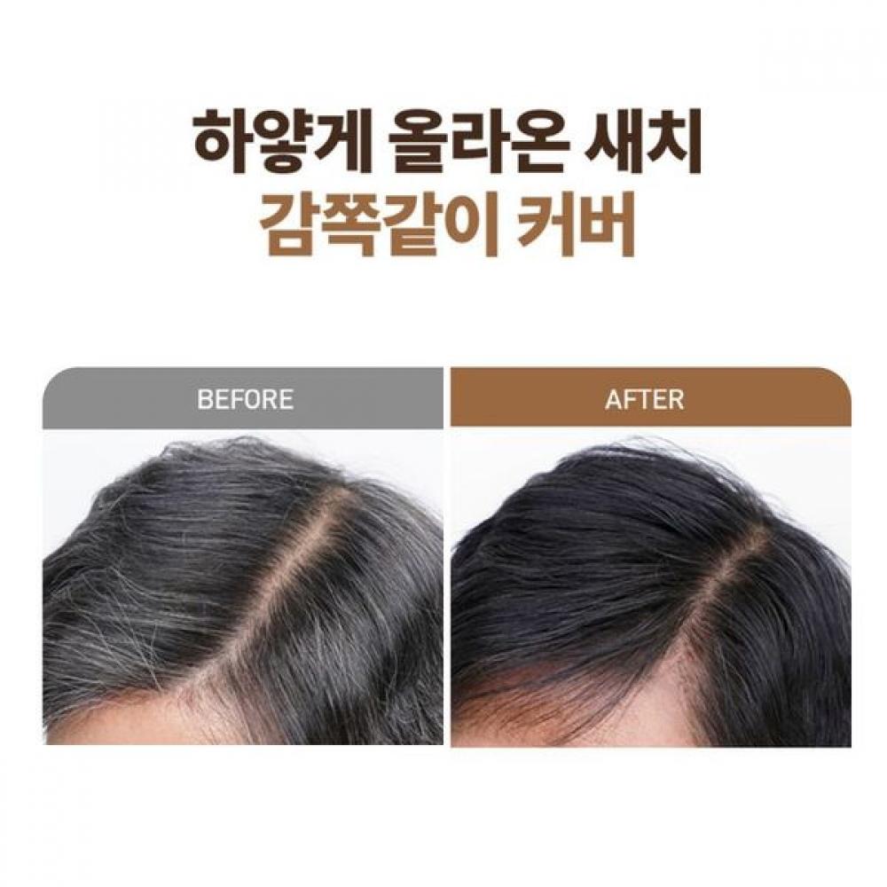 Aestura Grey Cover Stick Hair Tint Partial Dye 2.5g