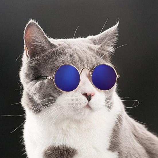 Pet Glasses Mini Clear AC Fashion Cat Sunglasses for Taking Photos