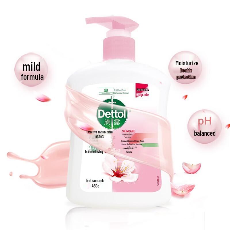 Dettol Hand Wash Moisturizing & Pine Scent Twin Pack