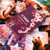 Jogo de Tabuleiro 36 Cartas Lenormand Flor de Cerejeira para Adivinhação Jogos de Festa