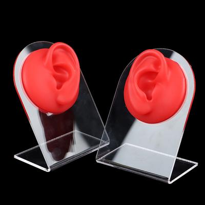 Silicone Ear Model Practice Piercings Tools Ear Studs Display With Acrylic Stand