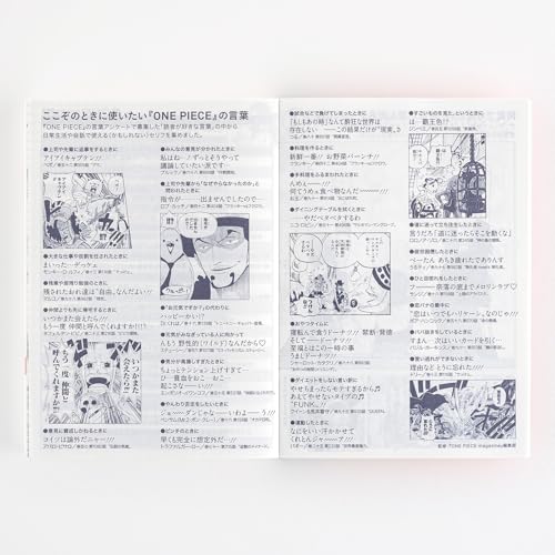 Hobonichi Techo 2025 Notebook Original (A6) ONE PIECE Japanese [A6/1 page per day (special edition)/January/starts on Monday]