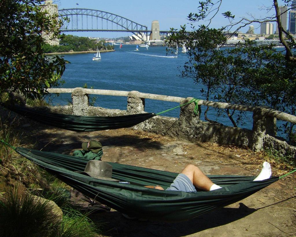 DD Hammocks DD Camping Hammock Official Japanese Product (Olive Green)