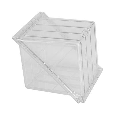 Moule de forme carrée pour pastèque et citrouille
