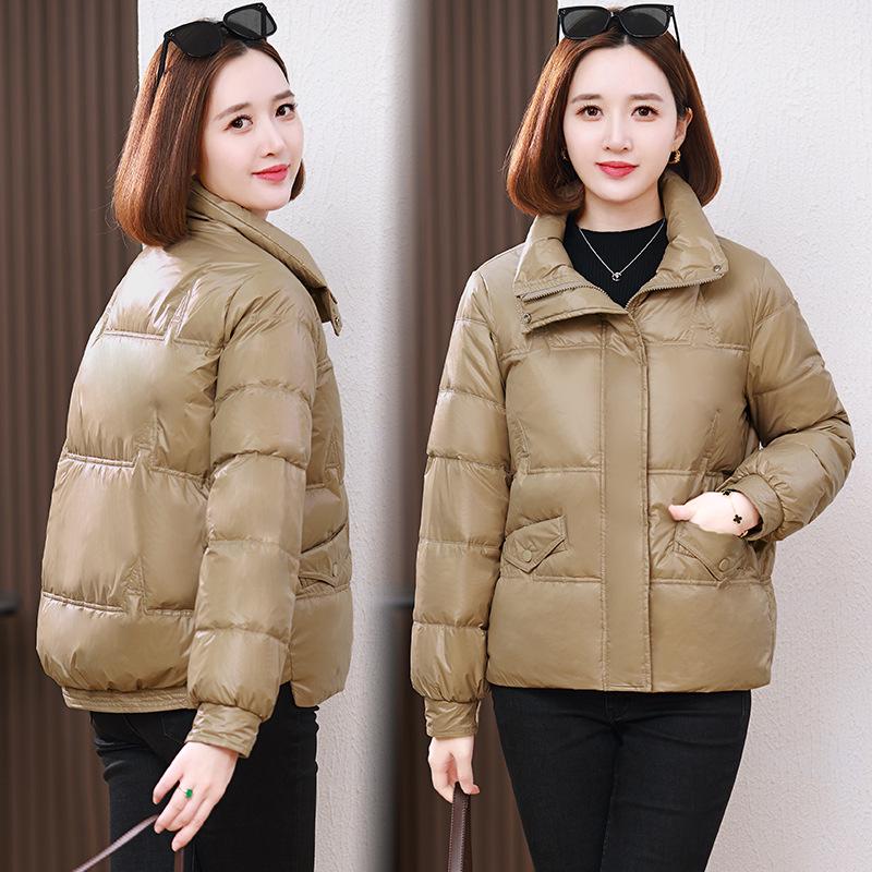 Women's 2024 Winter Korean Style Stand-Up Collar Plus Size Warm Down Jacket for Middle-Aged and Elderly