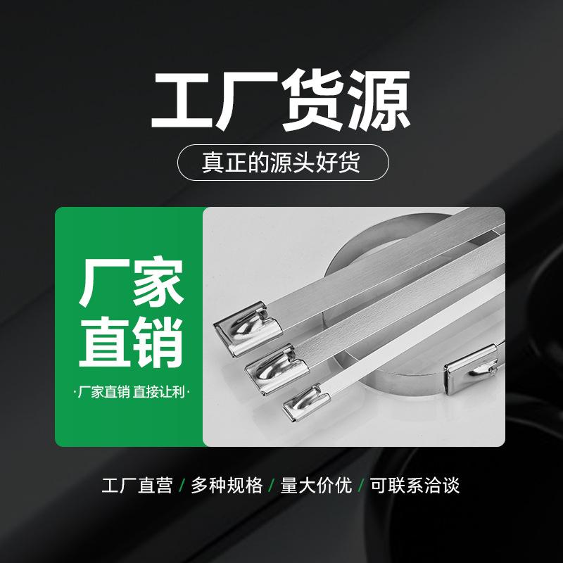 304stainless Steel Cable Tie4.6*20self-locking Metal Marine Harness Belt Outdoor High Temperature Resistant Cable Tie Steel Belt