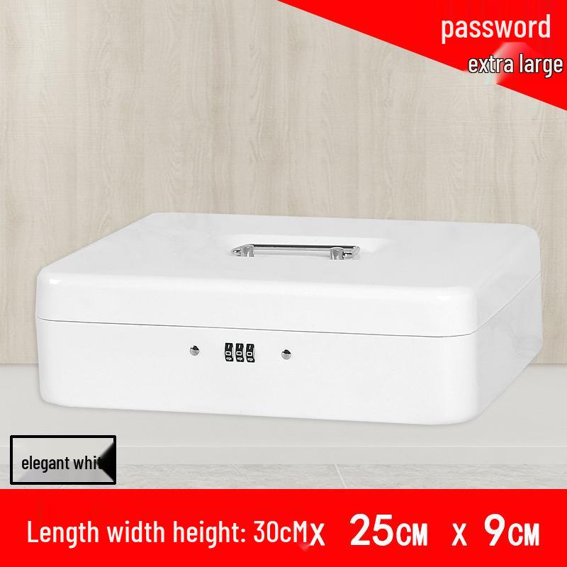 Portable Thickened Metal Cash Box with Lock and Password, Secure Storage Organizer