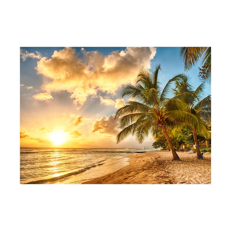 

Beach Sunset Clouds Coco Nut Tree Canvas Painting Palm Tree Posters and Prints Sunrise Seascape Home Room Decor Unframed 50x70cm