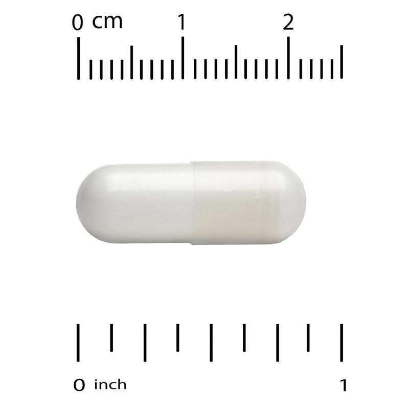 Glucosamine Chondroitin MSM with OptiMSM®, 240 Veggie Capsules