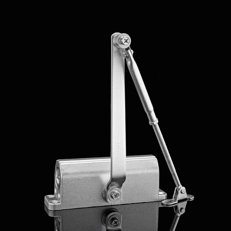 Zhuchuang Jingpin Door Closer