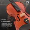STENTOR SV-120 4/4 Violin Set [Reliable Japanese Manufacturer]