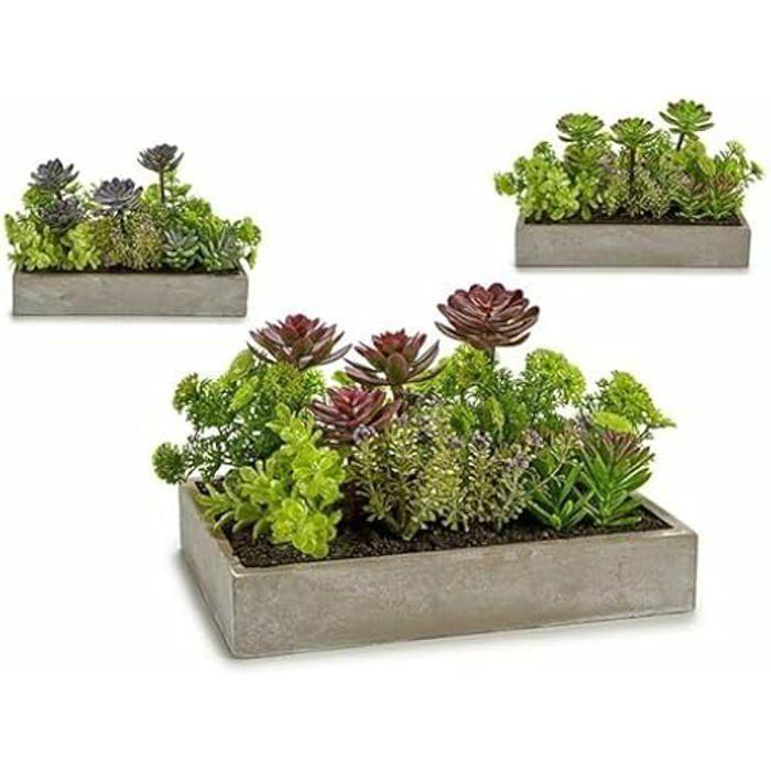 Plante décorative - IBERGARDEN - Succulente - Plastique - Ciment - 16,5 x 20 x 28,5 cm (6 unités)