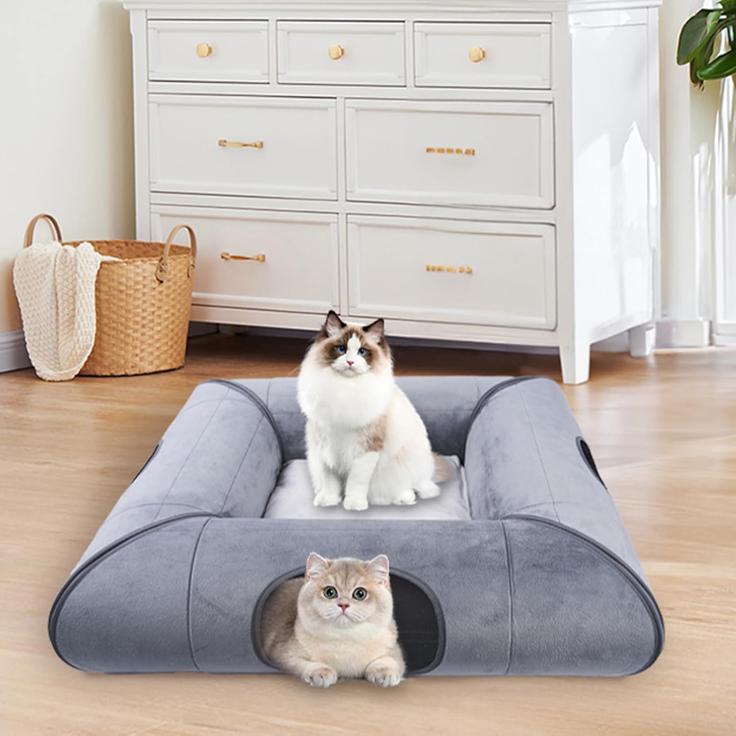 Indoor Cat Cave Bed, Scratch-Resistant Tunnel with Removable Pad, Gray, for Small to Medium Cats