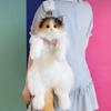 Black Yellow Calico Cat Storage Backpack Bag High-Quality Realistic Texture Large Storage Bag Cute Decoration Soft Birthday Gift