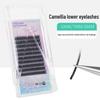Camellia Fairy Soft Cluster Lashes 0.05 Extensions