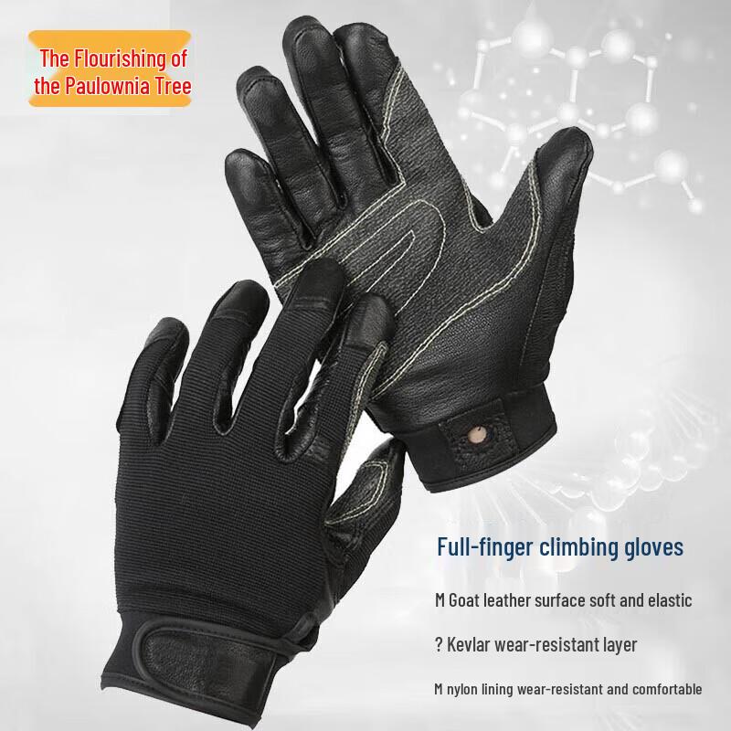 Outdoor Climbing & Rappelling Gloves