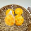 Xiaohongshu Style Slow Rebound PU Bread Squishy Toy