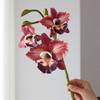 Echte Berührung Cattleya Orchideenstiel Lebensechte Optik Cymbidium Orchideen-Zweig Hochzeit