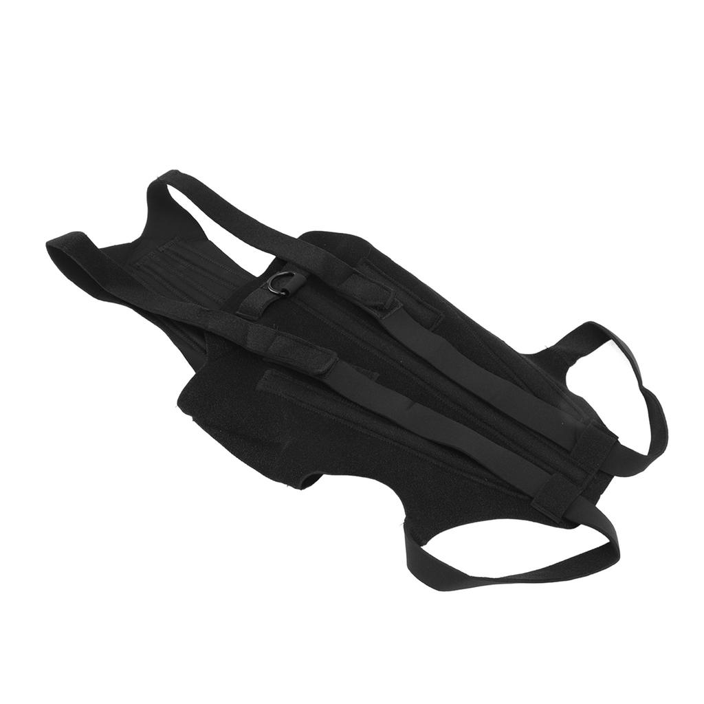 Dog Back Bracer Polyester Strong Rigidity Flexible Back Supporting Vest for Walking